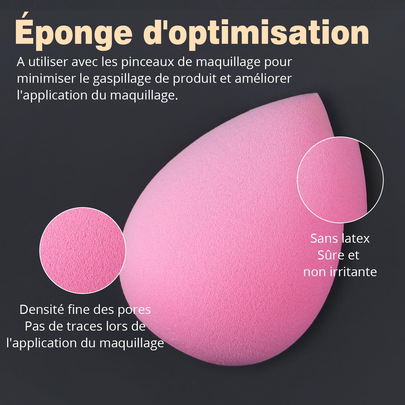 BEAKEY Pinceaux Maquillages Professionnel, Pinceau Maquillage Pour Fond de Teint Blush L'anti-cernes Fard à Paupières Poudre Libre, Avec Blender Eponge(10+2pcs, Noir/Argent) Skin Lab