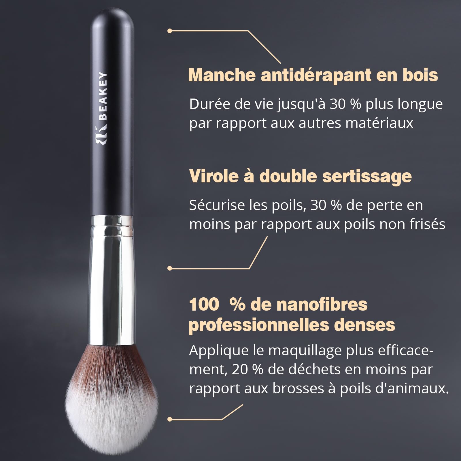 BEAKEY Pinceaux Maquillages Professionnel, Pinceau Maquillage Pour Fond de Teint Blush L'anti-cernes Fard à Paupières Poudre Libre, Avec Blender Eponge(10+2pcs, Noir/Argent) Skin Lab